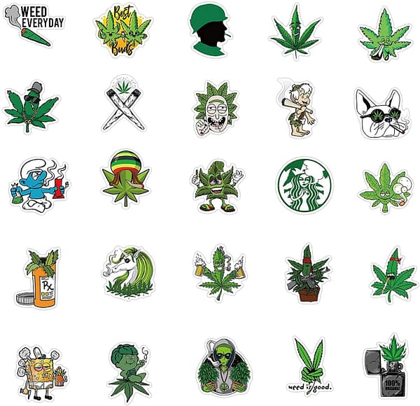 100-Pcs Cool Adult Stickers for Laptop Computer Accessories, Vinyl Waterproof Stickers for Hydroflask Water Bottles Phone Skateboard Guitar Bicycle Cars Bumper Room Decor Decals