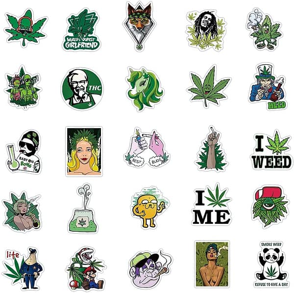 100-Pcs Cool Adult Stickers for Laptop Computer Accessories, Vinyl Waterproof Stickers for Hydroflask Water Bottles Phone Skateboard Guitar Bicycle Cars Bumper Room Decor Decals