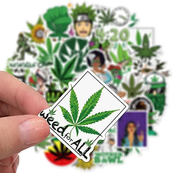 100-Pcs Cool Adult Stickers for Laptop Computer Accessories, Vinyl Waterproof Stickers for Car Hydroflask Water Bottles Phone Skateboard Guitar Bicycle Cars Bumper Room Decor Decals