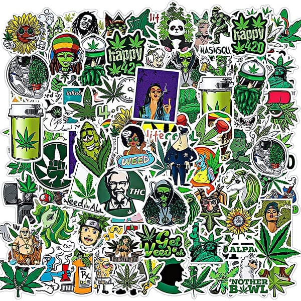 100-Pcs Cool Adult Stickers for Laptop Computer Accessories, Vinyl Waterproof Stickers for Hydroflask Water Bottles Phone Skateboard Guitar Bicycle Cars Bumper Room Decor Decals