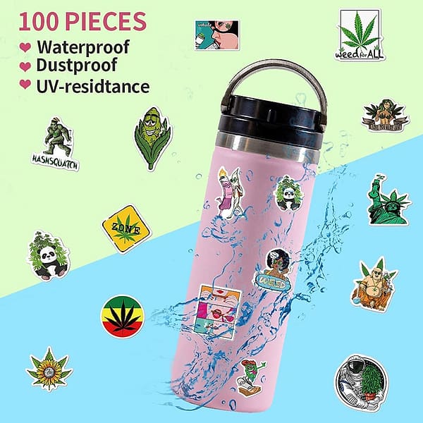 100-Pcs Cool Adult Stickers for Laptop Computer Accessories, Vinyl Waterproof Stickers for Hydroflask Water Bottles Phone Skateboard Guitar Bicycle Cars Bumper Room Decor Decals