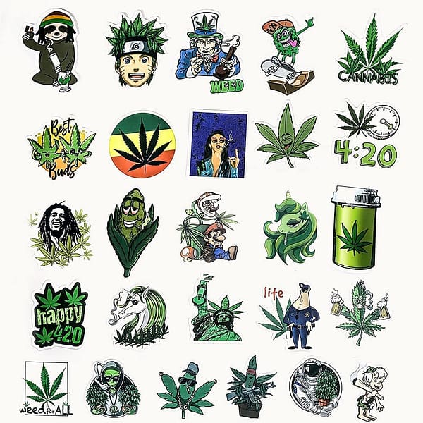 100-Pcs Cool Adult Stickers for Laptop Computer Accessories, Vinyl Waterproof Stickers for Car Hydroflask Water Bottles Phone Skateboard Guitar Bicycle Cars Bumper Room Decor Decals