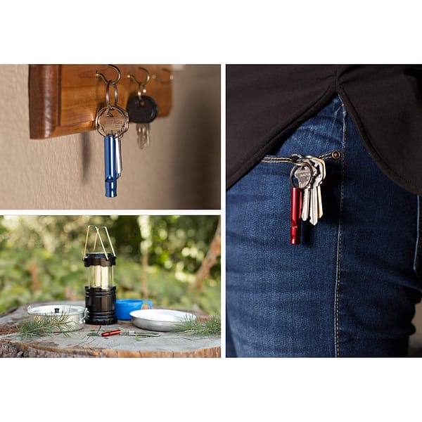 A Set of 7 Extra Loud Whistles for Camping Hiking Hunting Outdoors Sports and Emergency Situations, Sturdy but Light Aluminium Key Chain Signals of Different Colors